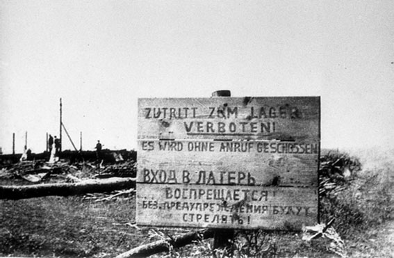 БОЛЬ И ПАМЯТЬ ТРОСТЕНЦА